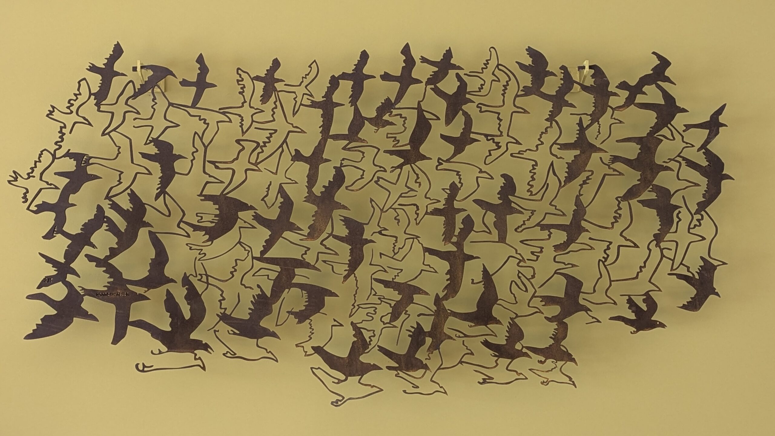 PXL_20260111_101136943