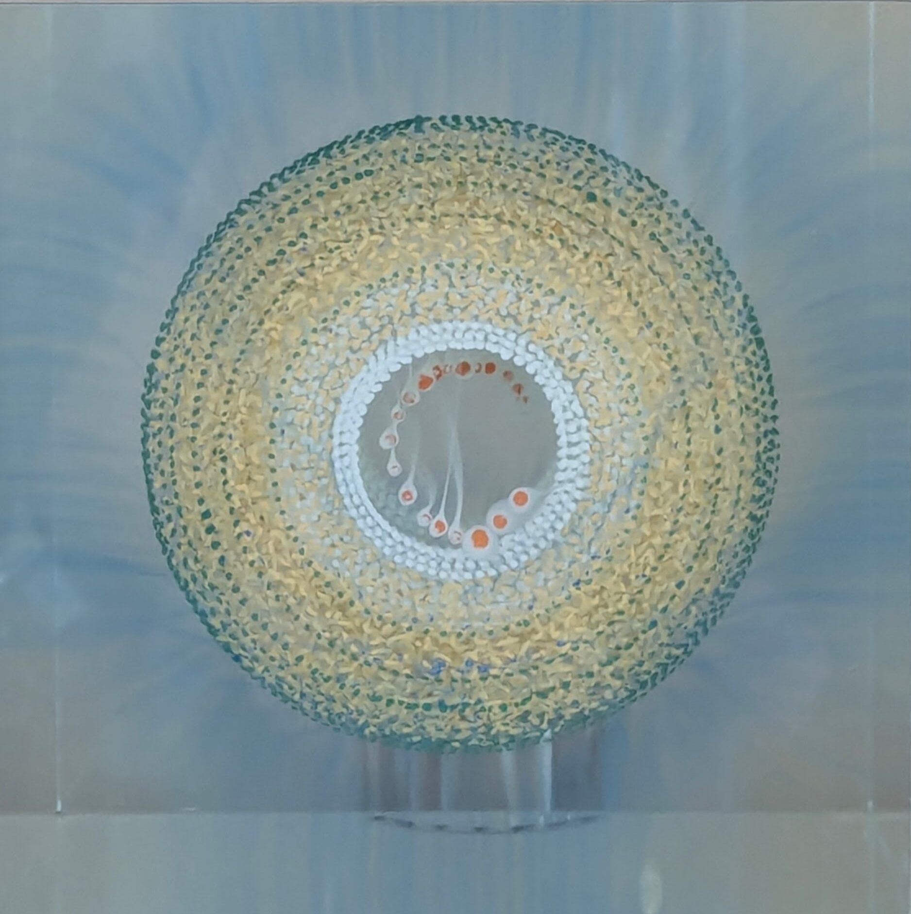 original_95742bfa-29b3-493c-ad17-5fa11fa8585a_PXL_20260111_102834960